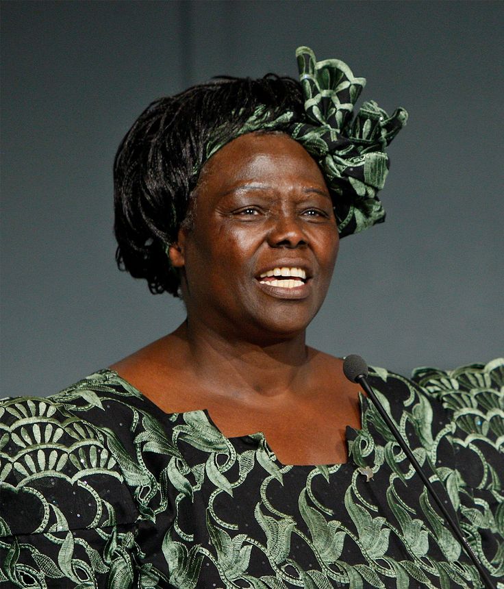 Portrait de Wangari Maathai